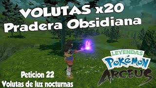 VOLUTAS de la Pradera Obsidiana  LEYENDAS POKEMON ARCEUS  Peticion 22 Volutas de luz nocturnas [upl. by Leahcimnhoj910]