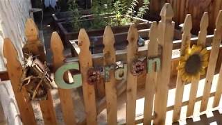 Birdhouse Garden Tour 2019  birdhouse garden [upl. by Gabor]