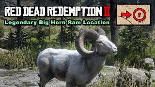 Legendary Big Horn Ram location  Red Dead Redemption 2 [upl. by Nadnerb]