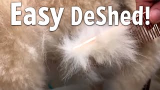 Easiest way to DESHED Any DOG at Home [upl. by Corsiglia]