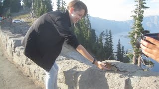 Feeding Chipmunks by Hand at Crater Lake Oregon  Family Road Trip 3 vlog 110 [upl. by Petuu]