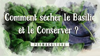 Comment sécher et conserver le basilic [upl. by Ettenrahc]