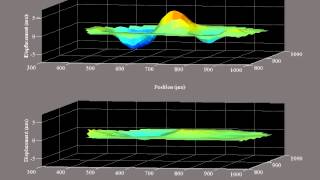 Cochlear traveling wave in vivo [upl. by Heath]