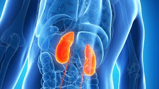 Renal pharmacologyDiuretics part2 [upl. by Nnairda]