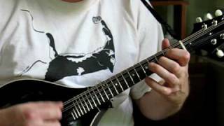 The Gallowglass Jig on mandolin [upl. by Ahsehyt]