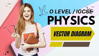 Graphical Representation of Vector  Scalars and Vector Quantities  O level Physics [upl. by Tammie559]