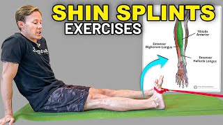 3 Anterior Shin Splints Physical Therapy Exercises [upl. by Akinwahs]