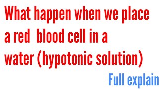 What happen when we place a red blood cell in a water hypotonic solution [upl. by Elnora]