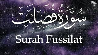 Surah Fussilat سُوْرَۃ فُصِّلَتExpounded Explained In Detail   Tilawat e Quran [upl. by Friedlander5]