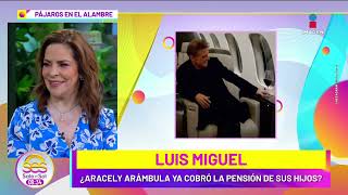 Aracely Arámbula ya le habría cobrado a Luis Miguel la pensión de sus hijos Asegura famosa revista [upl. by Krista]