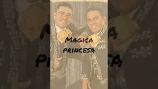 Magica princesa karaoke [upl. by Adnak]