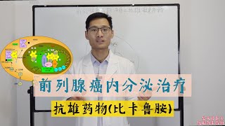 【攝護腺癌】【前列腺 癌】前列腺癌内分泌治疗之抗雄激素药物的作用机制，比卡鲁胺、恩杂鲁胺 [upl. by Egnalos411]