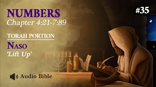 Audio Bible Torah Portion Naso  Lift Up  Numbers 421789 [upl. by Morse837]