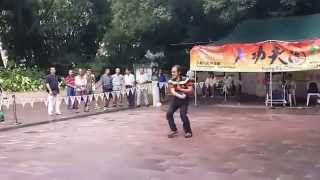 Dragon style kung fu Michael Chan70yoSam TungKung Fu Corner [upl. by Yt]