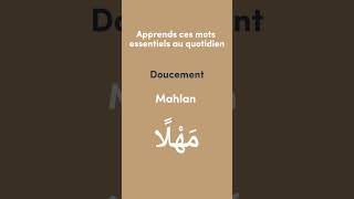 Apprends ces essentiels en arabe [upl. by Callahan579]