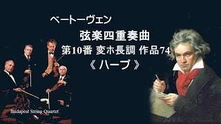 ベートーヴェン 弦楽四重奏曲 第10番 変ホ長調 作品74 ≪ハープ≫ Beethoven string quartet No10 〈Harp〉 [upl. by Faline970]