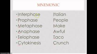 Memorize the Cell Cycle [upl. by Nwavahs]