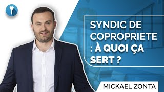 SYNDIC de COPROPRIETE  à quoi ÇA SERT [upl. by Giglio]