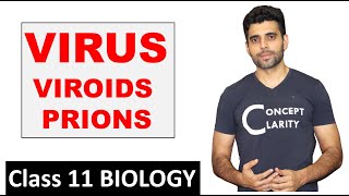 VIRUSVIROIDS amp PRIONS  Class 11 Biology [upl. by Marola200]