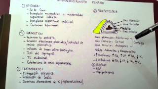 Hiperaldosteronismo primario Síndrome de Conn [upl. by Simmonds]