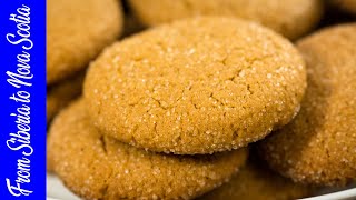 Russian Molasses Cookies recipe [upl. by Lenoj]