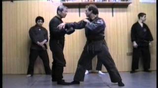 Hatsumi Tougher Bujinkan Training Days 1 [upl. by Drye]