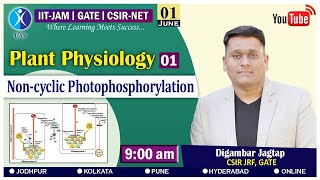 Lecture 01 Plant Physiology Non Cyclic Photophosphorylation [upl. by Burch]