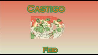 Feid  CastigoLetraLyrics [upl. by Aremihc]