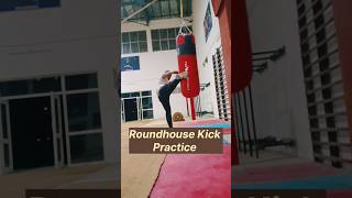 How to do roundhouse kick 🦵 Powerful roundhouse kick martialarts mma kicktechniques taekwondo [upl. by Perle]