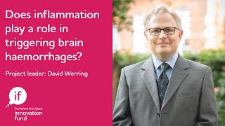 Does inflammation play a role in triggering brain haemorrhages [upl. by Ddahc]