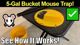 It Really Works Reusable 5Gal Bucket Mouse Trap by GARDENIX DECOR [upl. by Morice503]