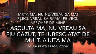 NEW VERSION Negativ amp Versuri  IARTA MA VOL 2  FA DIN MINE  DFP [upl. by Belldas852]