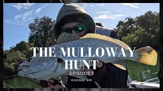 THE MULLOWAY HUNT episode 1 [upl. by Jordana]