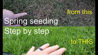 How to GROW GRASS in the SPRING successfully step by step [upl. by Suzanna]