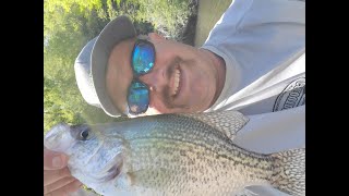 Catch The Fever Crappie Rods Precision Troll [upl. by Luamaj720]