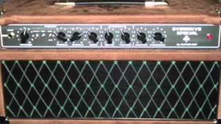 DUMBLE Overdrive Special pop [upl. by Elraet209]