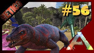 ARK Ragnarok 🦖 Megalania Gift farmen  beste Location 🦖 Ragnarok 56 [upl. by Enirhtak]