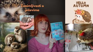 ASMR  Čitam vam zanimljivosti o ježevima 🍂🦔 šapat 💤 [upl. by Vivia]