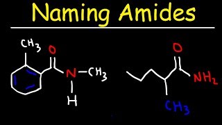 Naming Amides  IUPAC Nomenclature [upl. by Nylireg616]