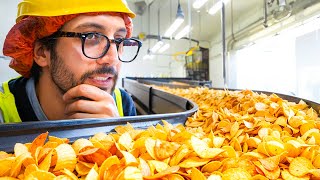 How It’s Made  Inside a French Potato Chip Factory [upl. by Aneelas]