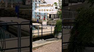 Visit to Norway shorts trending visitnorway viralshorts trend norway viralvideo alesund [upl. by Willmert]