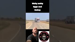 Cattle haulers are a different breed shorts short tiktok reels olesnapper truckdriver [upl. by Noissap]