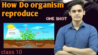 How do organisms reproduce class 10 By Prashant sir class 10 [upl. by Anivlem]