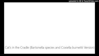 Cats in the Cradle Bartonella species and Coxiella burnettii Version [upl. by Ymmaj403]