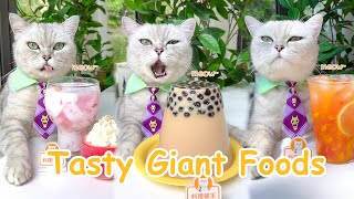 【Chef Cat Cooking】Cats Creative Food Ideas  CandyampDrinks  Chef Cat Cooking TIKTOK 2022 [upl. by Arondel410]