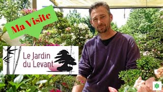 La PÉPINIÈRE bonsaï du JARDIN du LEVANT [upl. by Dagmar]