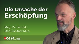 Nebennierenschwäche  grundlos energielos gibt es nicht  Dr rer nat Markus Stark MSc  QS24 [upl. by Ahsial]