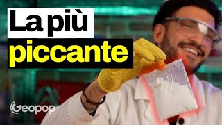 16 milioni di punti nella scala Scoville abbiamo assaggiato la capsaicina pura ed è piccantissima [upl. by Asselim206]