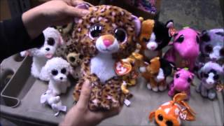 TY Beanie Boos  New Releases Spring 2016 Review  BBToyStorecom [upl. by Yelrah]