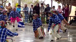 héroes del cenepa coreografía tusuykusun2024challenge [upl. by Nosnorb]